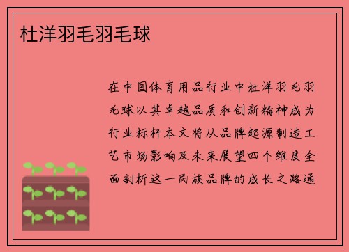 杜洋羽毛羽毛球
